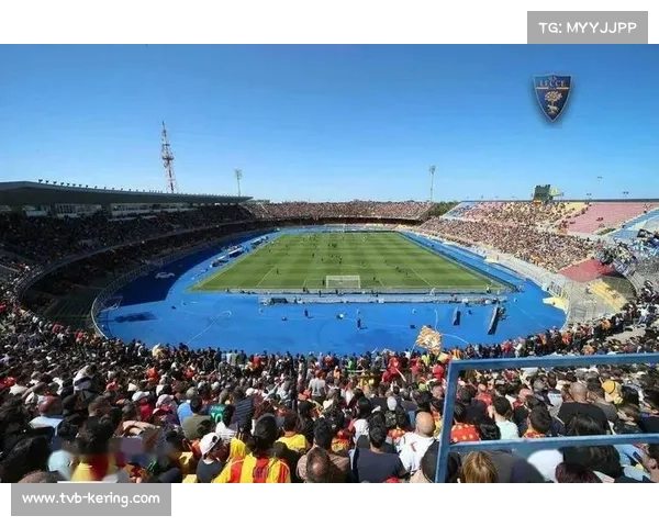 意甲加强球场安全管理，打击不良分子入场行为