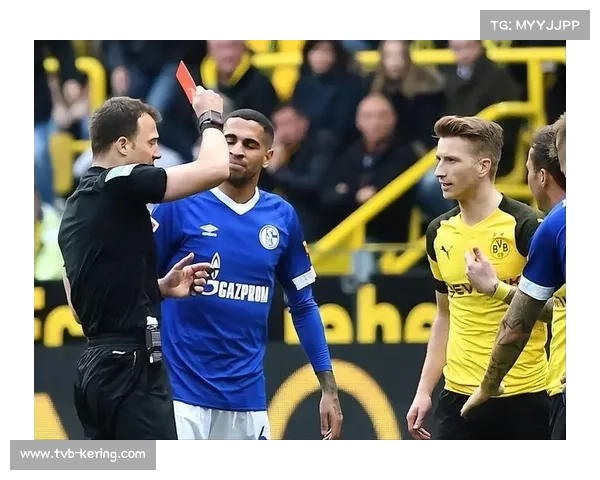 德甲裁判选拔标准更新，增加视频助理裁判专项培训